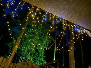 Magic wood