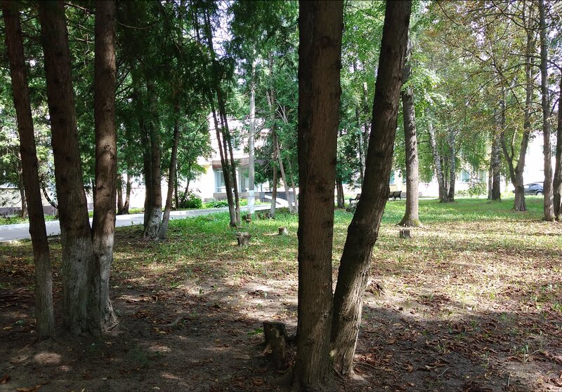 Bobachyovskaya Roshcha